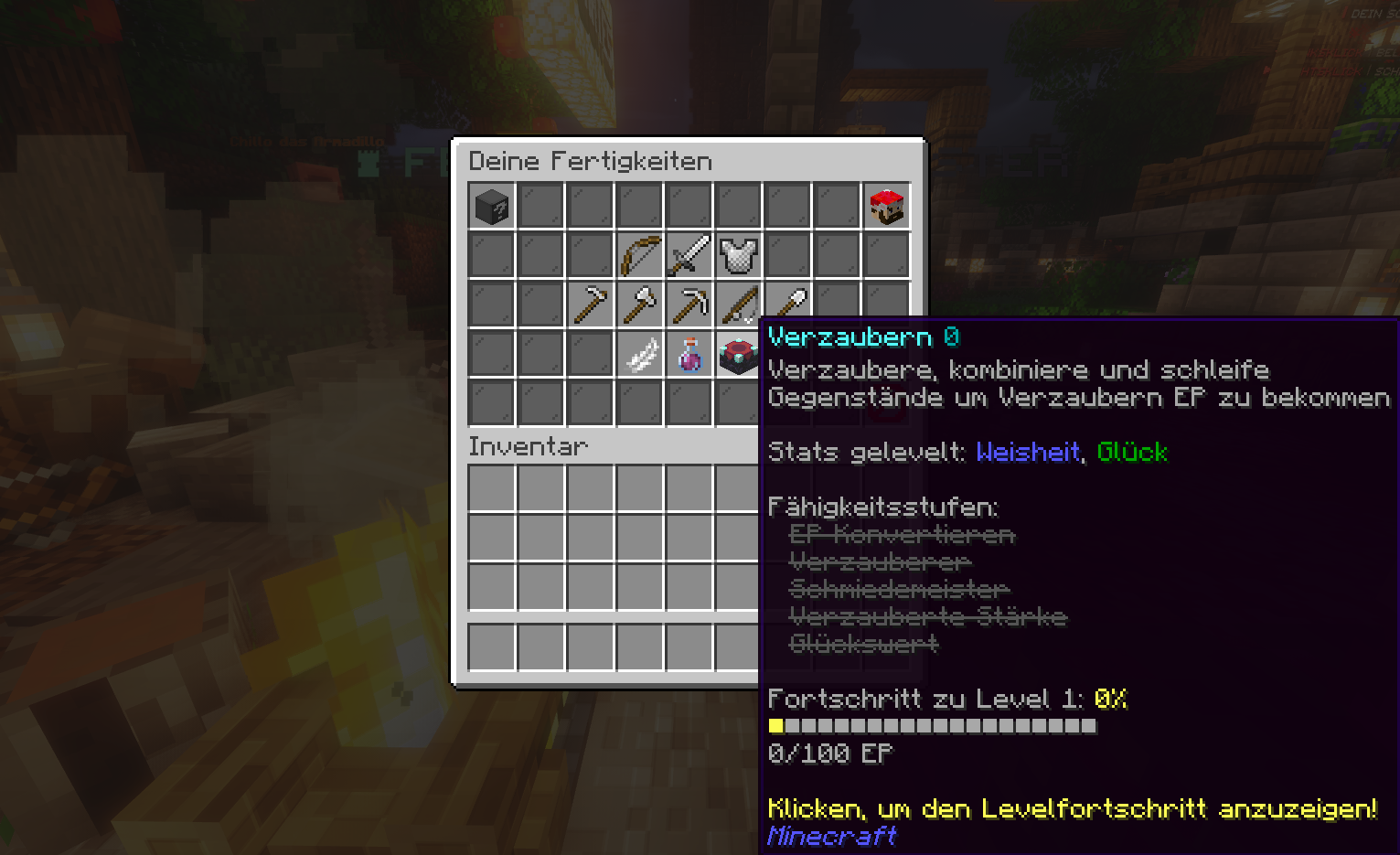 Skill-Meister • MCS FORGE